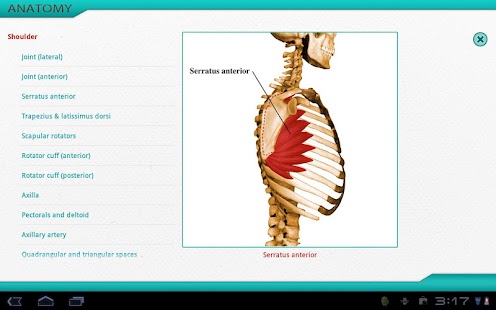 How to mod Muscles: Quick Reference 1.0 unlimited apk for android