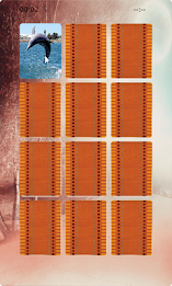 Dolphin Matching poster 1