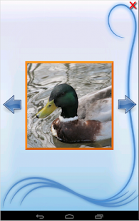 Kids Puzzle Ronny Screenshots 4
