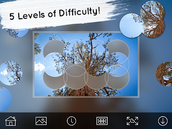 Venn Trees: Circle Jigsaw poster 9