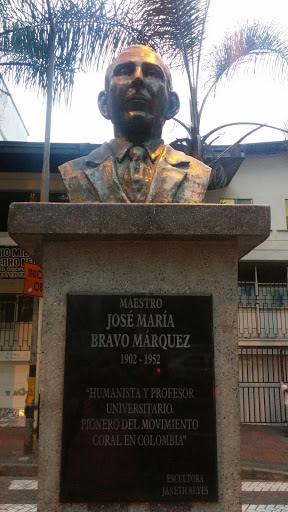 Maestro José María Bravo Márquez