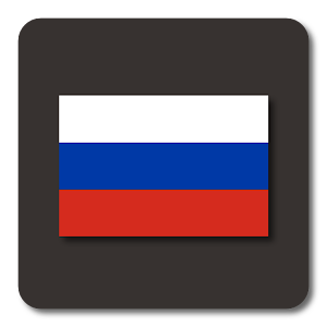 Lightning Launcher - Русский 13