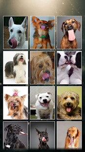 How to get Licking Dog Wallpaper 1.0 unlimited apk for android