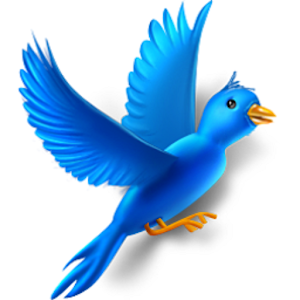 Bird Sounds.apk 1.3