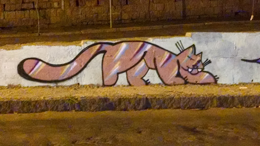 Grafite - O Gato