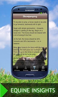 100 things your horse wants Screenshots 1