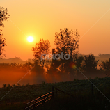 Foggy Morning Gate by Sue Ferneau Thompson -  