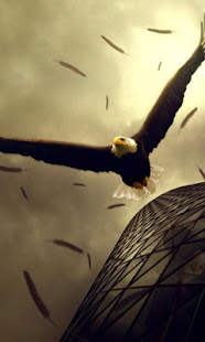 Eagle Live Wallpaper(圖2)-速報App