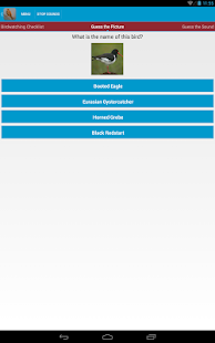 Spanish Birds Sounds Screenshots 3