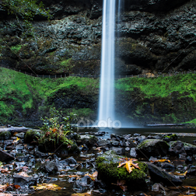 by Don Saddler - Landscapes Waterscapes