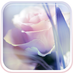 Cover Image of Download Rose Live Wallpaper 4.0 APK