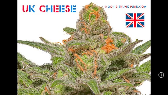 How to install Skunk Punk Marijuana Images patch 1.2.2 apk for android