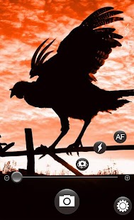 download K+ Silent Camera free