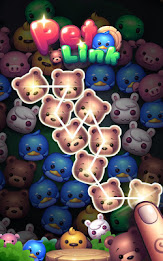 Pet Link poster 9