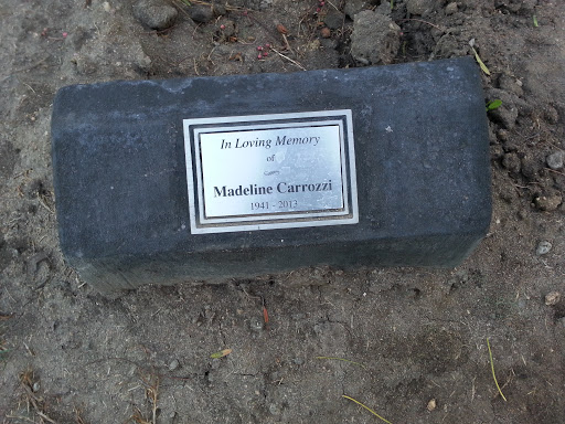 In Loving Memory Tree to Madeline Carrozzi