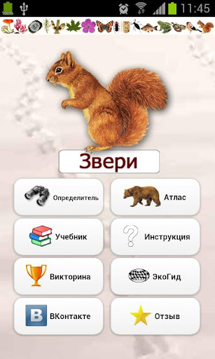 EcoGuide: Russian Wild Mammals