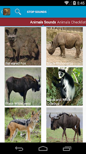 Safari Animal Sounds and List(圖2)-速報App