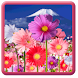 Flowers HD ScreenSaver!