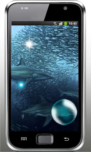 Shark Silver HD live wallpaper