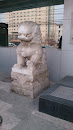 北京银行广安门支行母狮子 