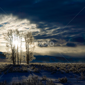 Moody morning in the park by Steve Outing - Landscapes Sunsets & Sunrises