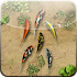 Water Pool PRO1.65