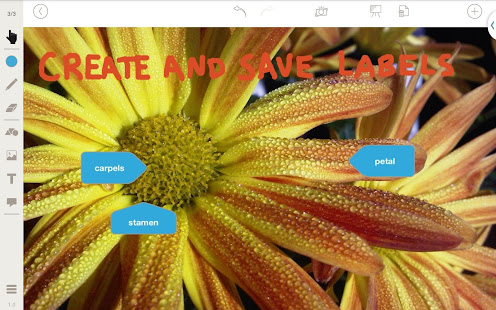 Stage: Whiteboard and Camera(圖4)-速報App