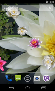 How to download Lily on Water Live Wallpaper patch 1.0 apk for pc