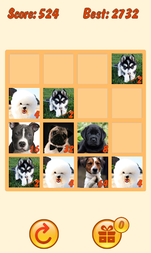 20 48 Dogs Puzzle with mPOINTS