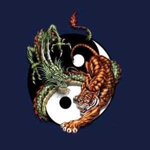3D  tiger dragon logo