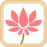 Lotus 8 Application icon