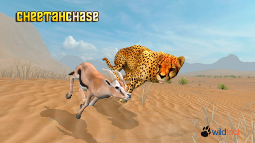 Cheetah Chase Simulator