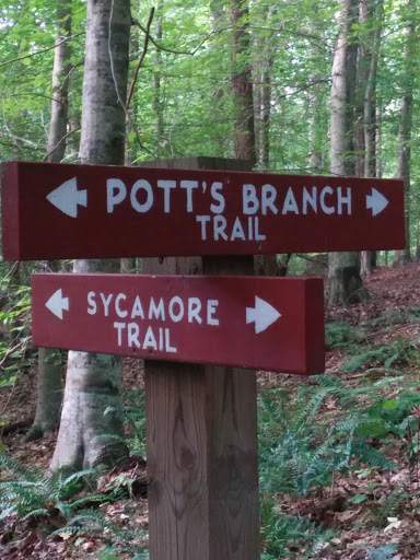 Umstead State Park - Pott's Branch Trail and Sycamore Trail