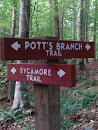 Umstead State Park - Pott's Branch Trail and Sycamore Trail