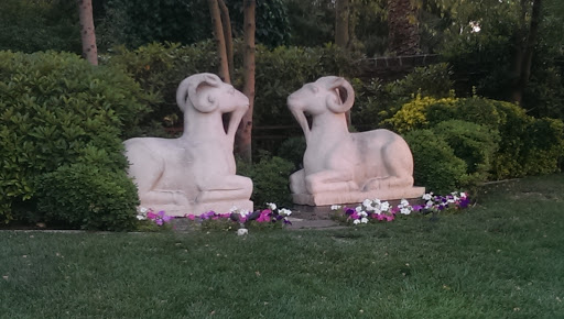 Goat Statues