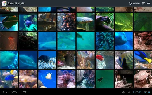 PicsPro pour Picasa - screenshot thumbnail