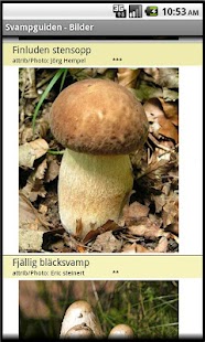 Svampboken Screenshots 3