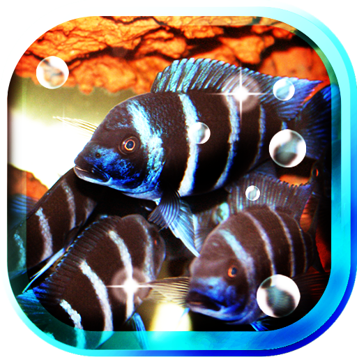 Aquarium Fishes live wallpaper 個人化 App LOGO-APP開箱王