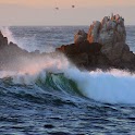 Coastlines Collection logo