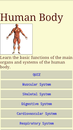 Human Body - Anatomy