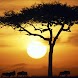 African Countryside Wallpapers