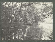 Ondergelopen roeiboot in een dicht beboste omgeving