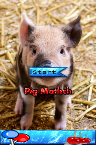 Pig Match Game