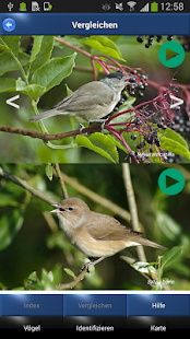 Vogel Id Schweiz - Gartenvögel identifizieren(圖5)-速報App