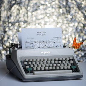 schmitterling papilion butterfly by Siyu Liu - Artistic Objects Antiques