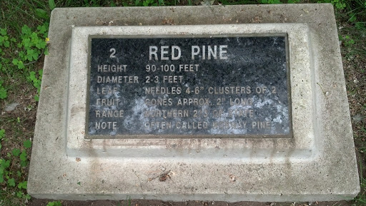 Red Pine Marker