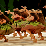 Hula Dancers: Merrie Monarch Festival by Venetia Featherstone-Witty -  