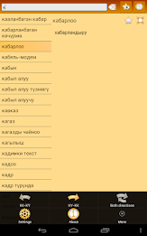 Kazakh Kyrgyz Dictionary poster 16