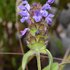 Self Heal