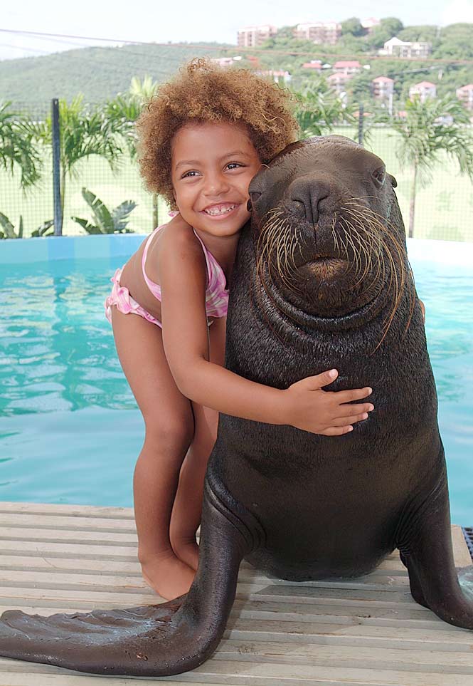 A young girl hugs a sea lion at Coral World Ocean Park in St. Thomas, US Virgin Islands. 